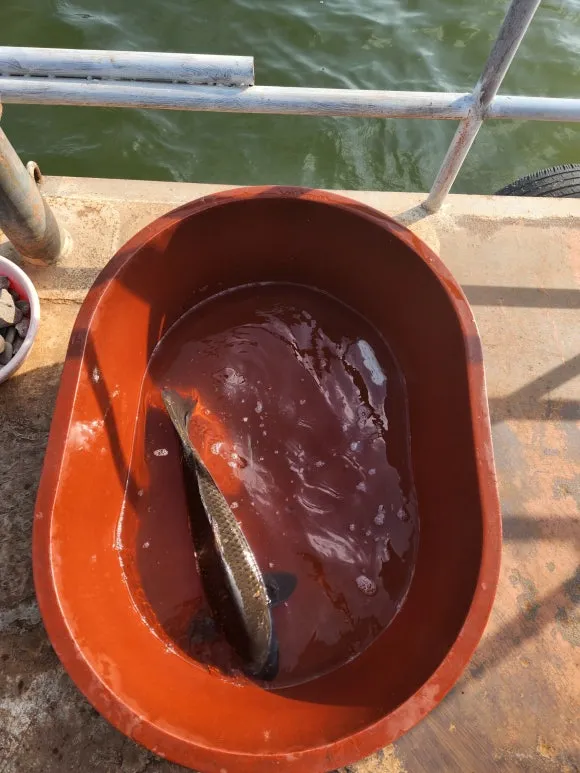 %EB%B0%A9%EC%83%9D.jpg?type=w580