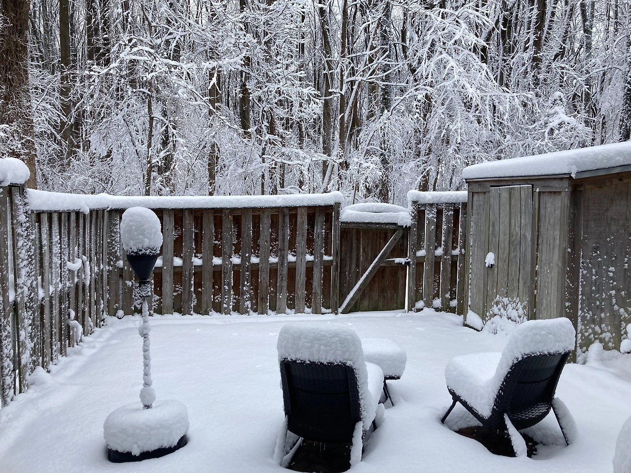 105IMG_5012 conv.jpeg