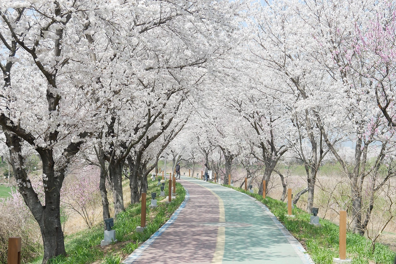 490141837_9628150290564567_1684511983371362437_n.jpg?_nc_cat=101&ccb=1-7&_nc_sid=127cfc&_nc_ohc=5BRdr5QYxZQQ7kNvwHmyeNU&_nc_oc=Adnt94vmZwK5o6tyn0zo8BGz_dmghxE74_qUZL7zZrPx1cG5ofHQ_lsV-OKXkeBXycU&_nc_zt=23&_nc_ht=scontent-ssn1-1.xx&_nc_gid=hMjsivyxJT1CSpHhYO3XQw&oh=00_AfJhaJzq4wMnx_3-JpOsez2QaMLuRPh_MrD57rC4-ReyLQ&oe=682C5459