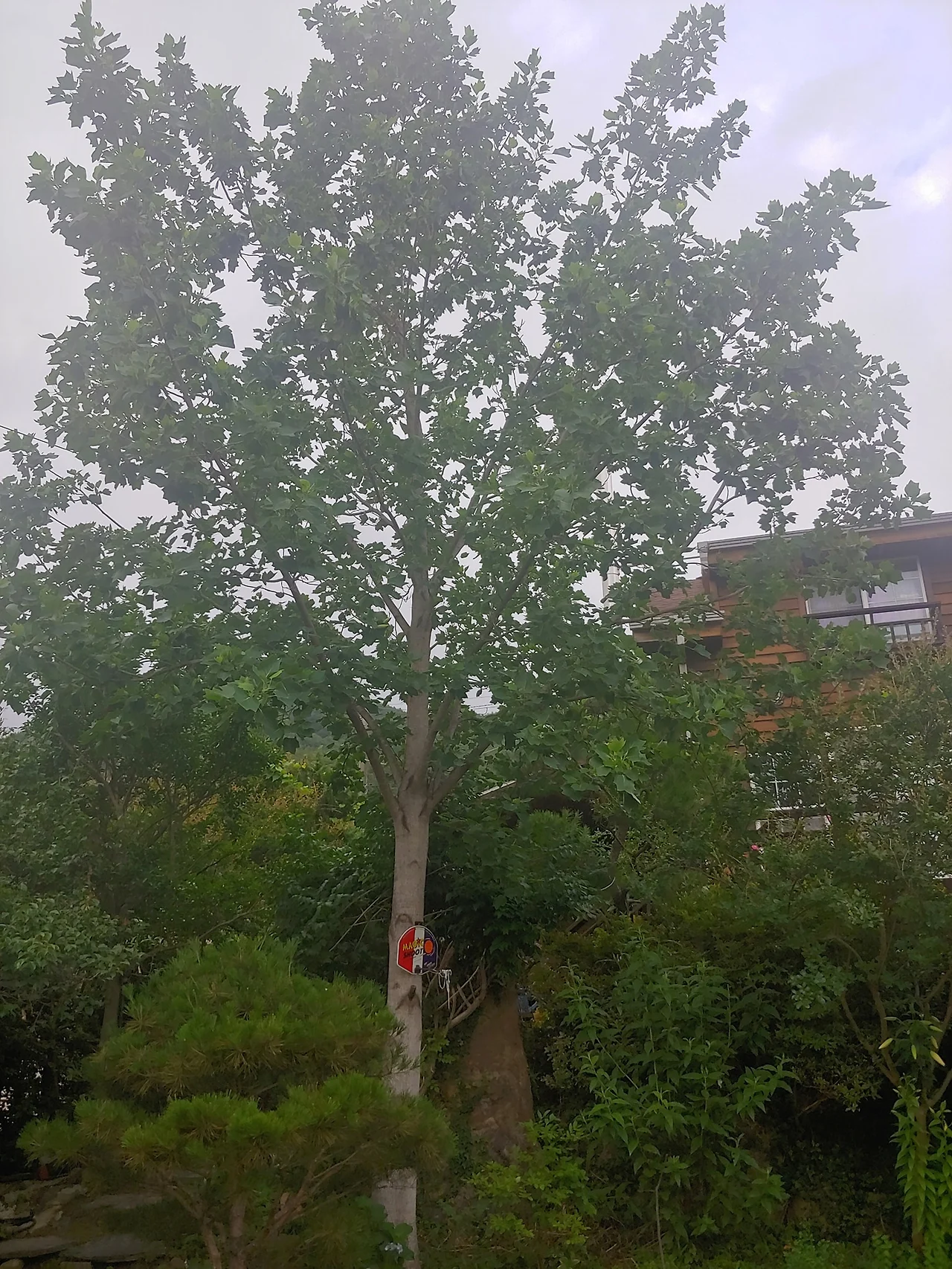 290694792_5281289511917355_2291056667702125933_n.jpg?_nc_cat=111&ccb=1-7&_nc_sid=833d8c&_nc_ohc=Yq9kratZAF0Q7kNvgHtv7Um&_nc_oc=AdjH-GS2KMKFa1MQIeYKbvU-mAaXsJBz4irOHbPwOdwZV-hTXYY48aoHUEQm2mYgY6E&_nc_zt=23&_nc_ht=scontent-ssn1-1.xx&_nc_gid=AbUWs3gPryne0rm5mb6RE9g&oh=00_AYCwh4eAq82gYFI3mBe-Uk3N-uHF6D0Yt-uxmqrrWAzn-A&oe=67C5A293