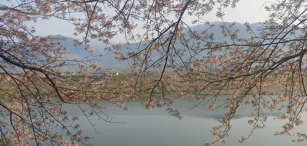 450922691_7929185780461035_1458900050762868355_n.jpg?_nc_cat=101&ccb=1-7&_nc_sid=127cfc&_nc_ohc=O3FEp7qsKB4Q7kNvgFqtXSD&_nc_zt=23&_nc_ht=scontent-lax3-2.xx&_nc_gid=AHYRkXGBqAUdHrh0af8-9Oq&oh=00_AYDw7rbFJusCdUkwEVcQXS1-U5XtTxhETnwD0_zTEYnUTw&oe=67AA02B7