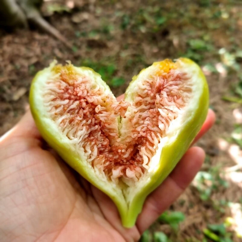 457369075_8217164538329823_7947928300517016061_n.jpg?_nc_cat=111&ccb=1-7&_nc_sid=127cfc&_nc_ohc=OsAMuqiSVOsQ7kNvgFHXVp_&_nc_ht=scontent-ssn1-1.xx&oh=00_AYBPlcQuDInuBCF8Uiwz0fvDhQGuvnqyiO-_NulaX2K9Lg&oe=66DC11EF