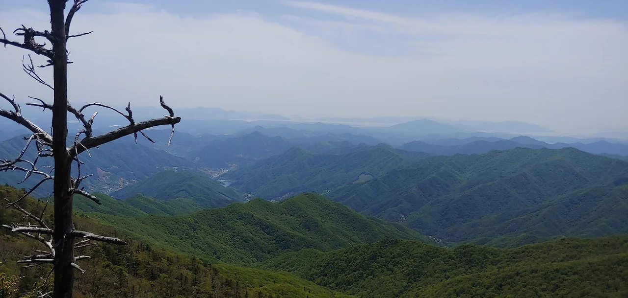 450816478_7918088251570788_1577234065751853218_n.jpg?_nc_cat=109&ccb=1-7&_nc_sid=127cfc&_nc_ohc=nYSS1vACps8Q7kNvgHWNyUo&_nc_zt=23&_nc_ht=scontent-lax3-1.xx&_nc_gid=AzDD9wdZL4ZAWbWuTQgqdyB&oh=00_AYAmmY447UhoVA72o4MIil6Sfb6W9IbC_ORNNfHyaFLgmA&oe=67A9EB12