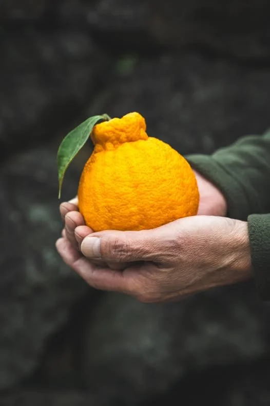 497450118_9881562288556698_8407346282752811038_n.jpg?_nc_cat=111&ccb=1-7&_nc_sid=127cfc&_nc_ohc=-iYbqD1HF3QQ7kNvwHeLp3q&_nc_oc=AdnHsDLeD8jJ0PghPd-l0OhJxV5OGi1ApNYxvKeqfe1iuLspxC996JRCZzI2lbXh4d0&_nc_zt=23&_nc_ht=scontent-ssn1-1.xx&_nc_gid=tIvrAMGE2L5V49wlFQnKIQ&oh=00_AfKceEW1CKIbMpvVOYFXjQpbVt-nhwvV4qOUsenIdkNBOw&oe=682C68DE