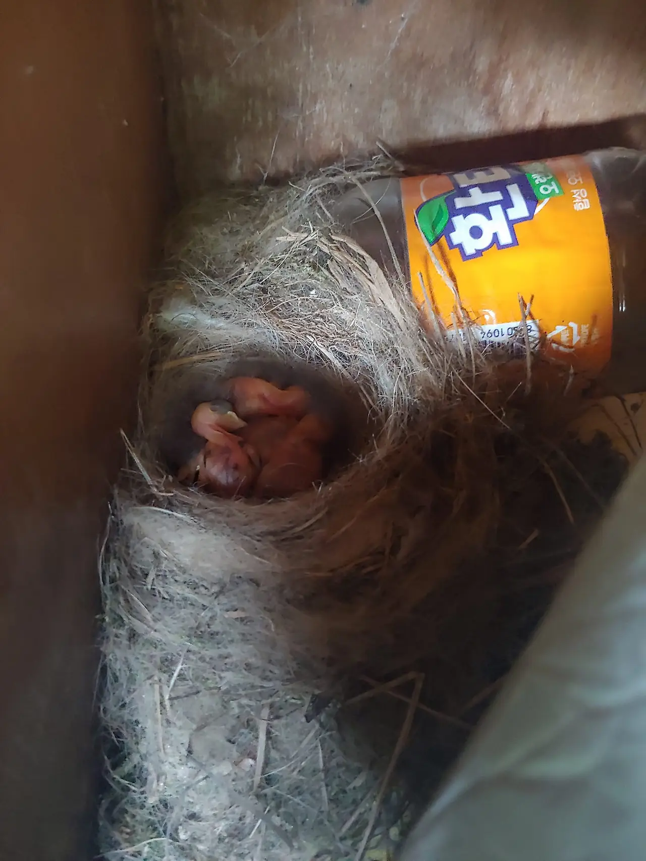 454668562_8089060177806927_3527470067758957847_n.jpg?_nc_cat=111&ccb=1-7&_nc_sid=833d8c&_nc_ohc=OM6MJsj7QFsQ7kNvgGY_RpD&_nc_ht=scontent-ssn1-1.xx&oh=00_AYCMdyy6f5qSiw2S6aJCmj8HPw3sGGoW4qkSFGQsIV0rAA&oe=66C08E9C