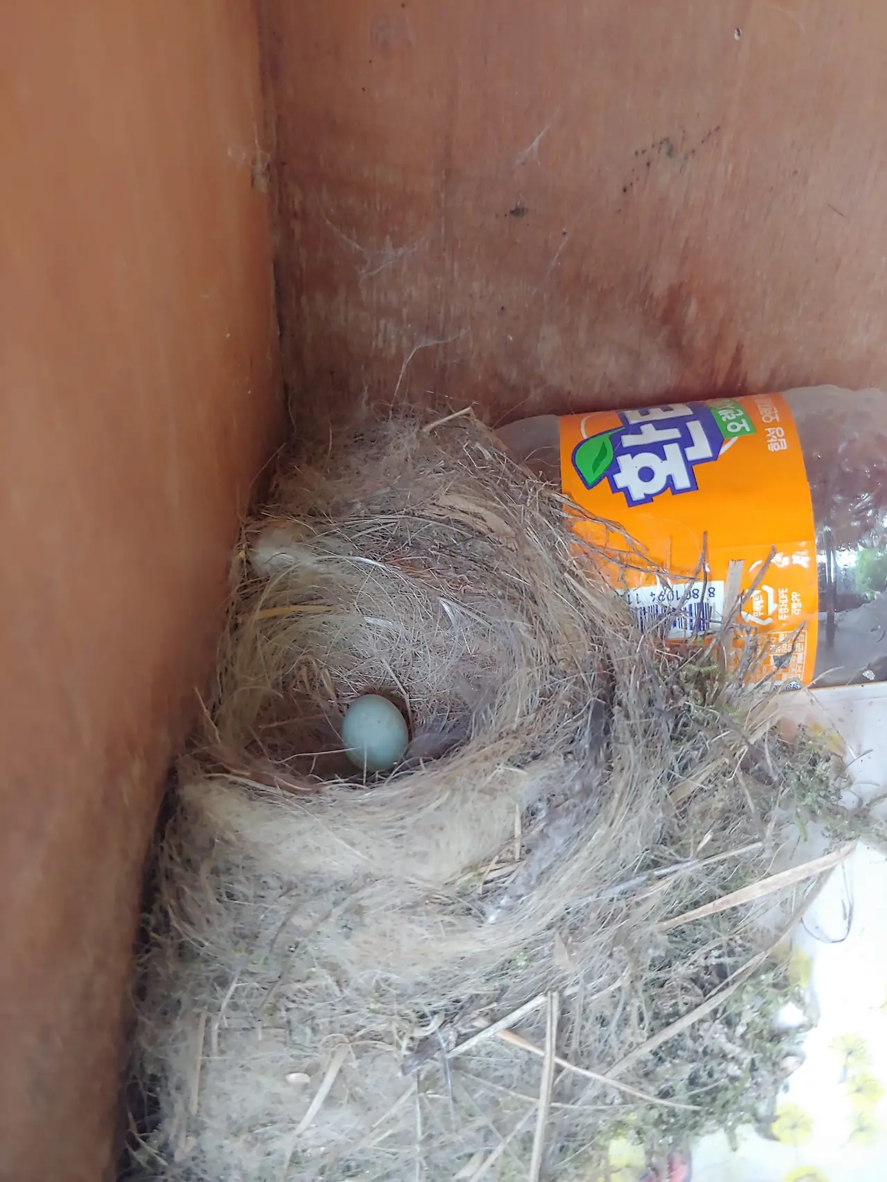 454604849_8089059217807023_6626259094104075218_n.jpg?_nc_cat=103&ccb=1-7&_nc_sid=833d8c&_nc_ohc=3XbjQiIw4EQQ7kNvgEIX212&_nc_ht=scontent-ssn1-1.xx&oh=00_AYCdejcyd0B9H7MoExccCn-UcbGyyL3zCxh9EUNooL7KeA&oe=66C08E4D