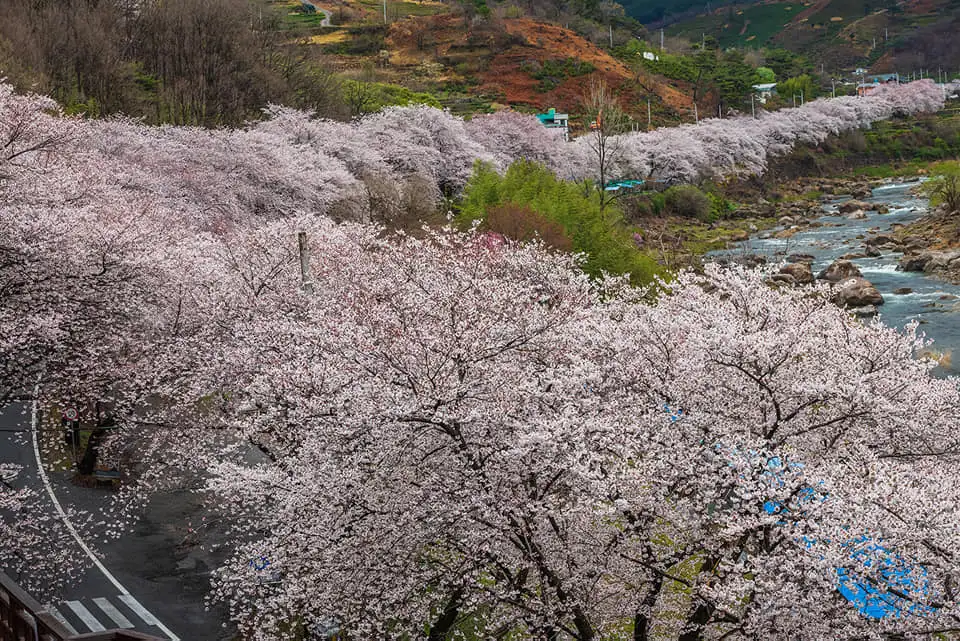 91560990_611778806041937_290217747713884160_n.jpg?_nc_cat=108&ccb=1-7&_nc_sid=833d8c&_nc_ohc=lfC8S1X4ODIQ7kNvwG8cWmY&_nc_oc=AdkQyqHzcydI5TM-5n7j24d_c9TUmxzyRBdPTUSIAuEp7fw9mp7LYWO55HpaTwbGZ_Q&_nc_zt=23&_nc_ht=scontent-ssn1-1.xx&_nc_gid=WB03-ttd2Gb2ZRD9gXhomg&oh=00_AfKXu3gkMI5Dn6z7Cx9SkldXDNULqCbwTpEJ7eVxGTRxdw&oe=684E10BA