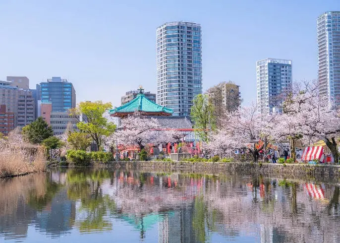 a0003133_parts_6163956267826.jpg?20210119091638&q=80&rw=686&rh=490