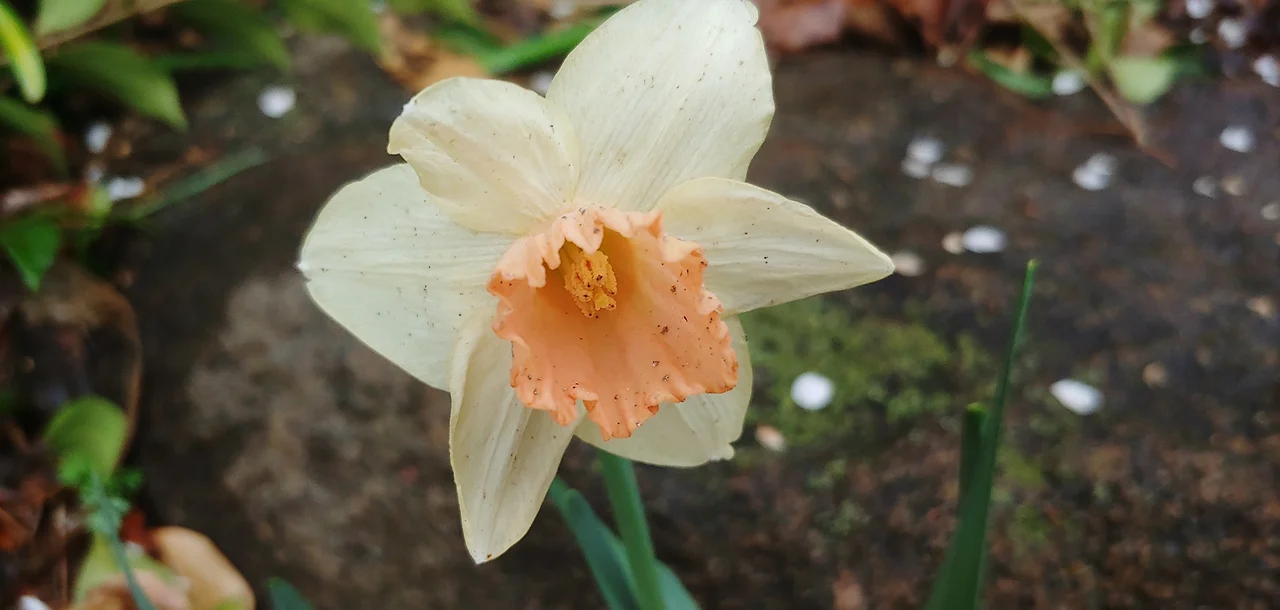 275932349_4992300417482934_662979623859362189_n.jpg?_nc_cat=110&ccb=1-7&_nc_sid=833d8c&_nc_ohc=sGxpA4tiTt4Q7kNvgHYscVi&_nc_oc=AdiDtPDcWyIo85BHdSaQua09cviAH2NaXeZssnPZepZgF4TftPLpeYKIT2EIQG8TaPE&_nc_zt=23&_nc_ht=scontent-ssn1-1.xx&_nc_gid=AMA-3ZqGmG9owaChLVauRxz&oh=00_AYDIfDOXpgR8e3Q2DgX2bnSWEEPiiQcQ-NA-u5q5clM6sg&oe=67C5AEAB