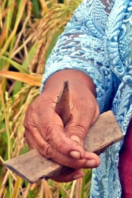 548628520_24654856404134043_7825616459410107092_n.jpg?_nc_cat=101&ccb=1-7&_nc_sid=833d8c&_nc_ohc=1WmuCBpArcwQ7kNvwGVV_-M&_nc_oc=AdnMWhU40sAelFvRKREIp8XgFib1X7sTzHbnncykWeMWxpM-wJI_Tk6S8Gsj0ii9Zdg&_nc_zt=23&_nc_ht=scontent-ssn1-1.xx&_nc_gid=ozzoACtUKSQdUroaLMnWzw&oh=00_AfY7p6phT_smDaRKgVH8stgDP_aenbYxJy8P8_rDK3PChw&oe=68D14479