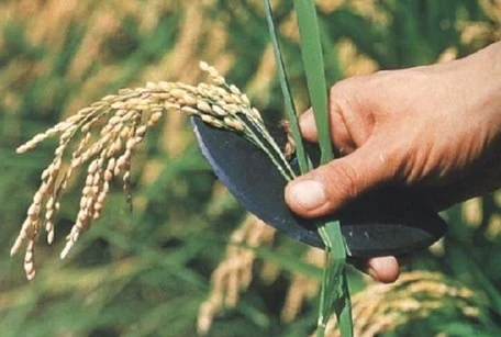 548395044_24654854320800918_5357672438116804315_n.jpg?_nc_cat=109&ccb=1-7&_nc_sid=833d8c&_nc_ohc=NDuzlgV-AVkQ7kNvwH-UIbr&_nc_oc=AdnPq3py8yjDnpTA51ZBRctY-yRGtJdQGuwysZLPSpwRcWI29ZHfvpRvWa60uMXc6XE&_nc_zt=23&_nc_ht=scontent-ssn1-1.xx&_nc_gid=RAYCf3QFL_tau7-UEWcuhg&oh=00_AfZ5QjIXaHZlUElTqjpx1DupUpwKESem3o7HFBDOP2hqwA&oe=68D12DCC