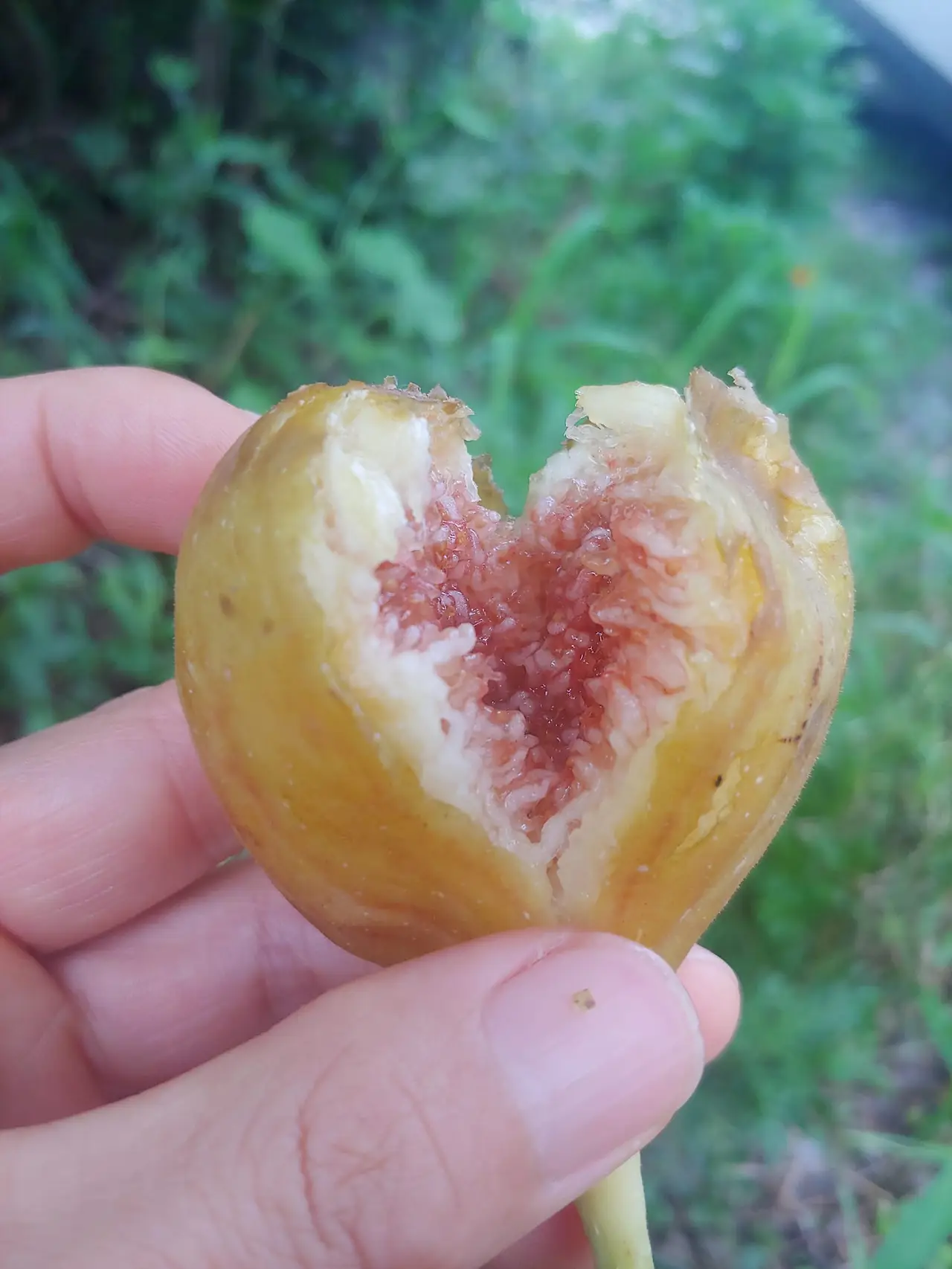 456986977_8196099010436376_8884863132486355364_n.jpg?_nc_cat=111&ccb=1-7&_nc_sid=833d8c&_nc_ohc=d-8r6vCZLXEQ7kNvgGyLC5N&_nc_ht=scontent-ssn1-1.xx&oh=00_AYBGXAFQqJVzLuQ_aiJiiKd7IGeK9KNFbN7MrM79ceNW7A&oe=66DC0CF5