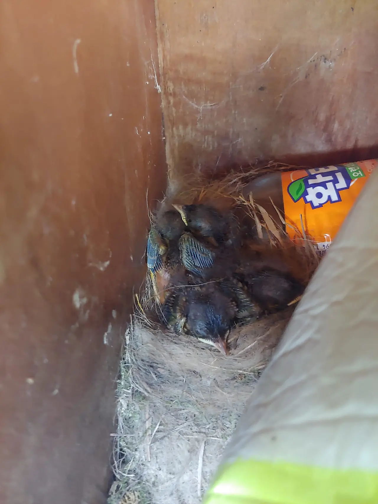 454572555_8089060447806900_3834422057541447448_n.jpg?_nc_cat=103&ccb=1-7&_nc_sid=833d8c&_nc_ohc=aipvMMD1EssQ7kNvgFQfxvP&_nc_ht=scontent-ssn1-1.xx&oh=00_AYDzCnPop9CZ3pIkY0gpIAv-AOmR8xlmThimMR2CJ-NYnw&oe=66C0B1C1