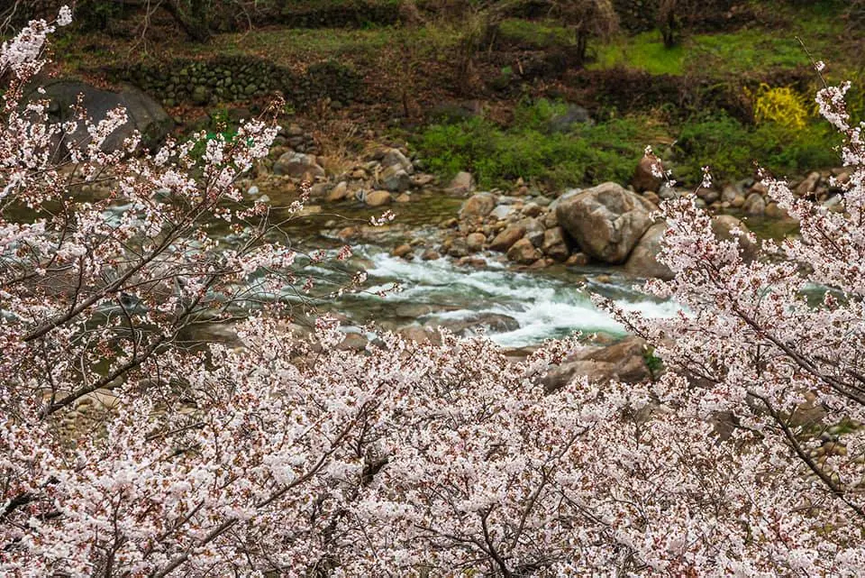 91599685_611778772708607_2409230890732355584_n.jpg?_nc_cat=102&ccb=1-7&_nc_sid=833d8c&_nc_ohc=EaUTRBa256QQ7kNvwGzYnyi&_nc_oc=Admv70_Gbs7bnP4kZ_Y9aywSrO9vbp6COTF5Ygu4BiPJtzY_sgRqASIqYP8krgJPdnA&_nc_zt=23&_nc_ht=scontent-ssn1-1.xx&_nc_gid=9oTYErMSvLI4DO-Rvd4IPg&oh=00_AfKKUXaZGvN2Pe0CpbfayN4Oqt8I9VfoTDkmMYPlVPPHWQ&oe=684DEDF2