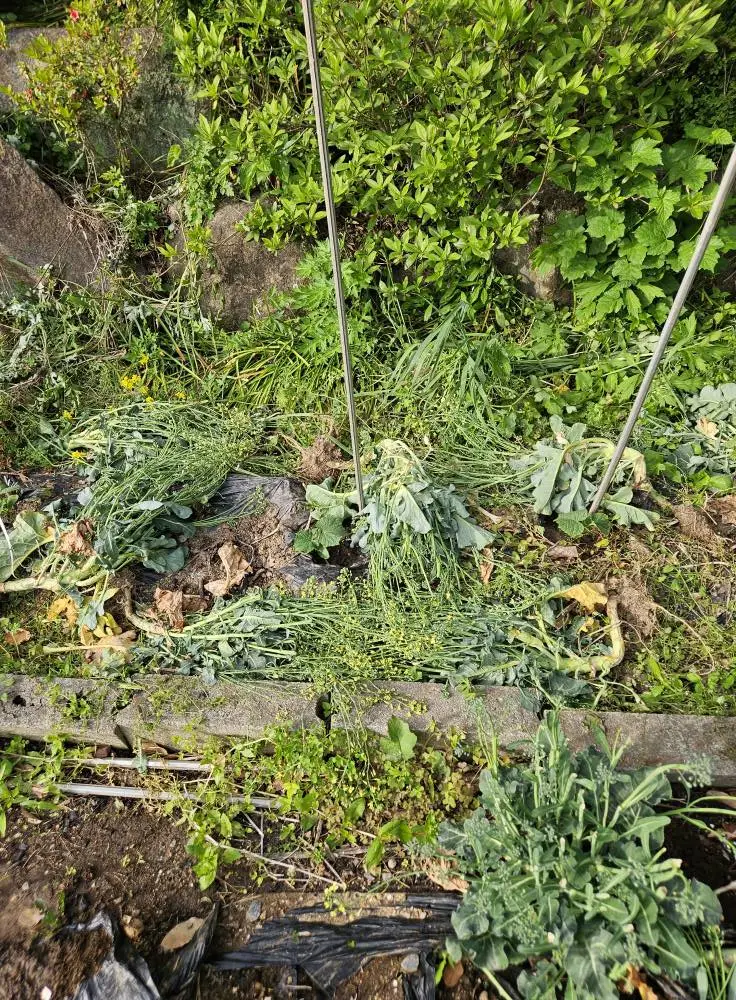 495148722_9830686840310910_5628590092342584619_n.jpg?stp=cp6_dst-jpg_tt6&_nc_cat=111&ccb=1-7&_nc_sid=833d8c&_nc_ohc=OEBN7ONeIAUQ7kNvwERDly_&_nc_oc=AdkZvtaWm9ZqQl8eqm__xZVSLeqdoAFoNhttUFmcGIQSXjWhWJDFwOoN3y3d6zjM2IQ&_nc_zt=23&_nc_ht=scontent-ssn1-1.xx&_nc_gid=1a5rsVUECLZkGGsk22xE9w&oh=00_AfJXTGKjtFybM62e4w6e0HgsO_Xd5shddEcJJzSJGhupTg&oe=6821E7D9