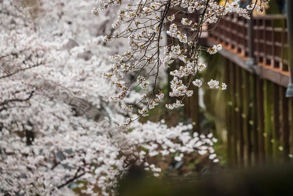 91890449_611778719375279_5507969826800271360_n.jpg?_nc_cat=107&ccb=1-7&_nc_sid=833d8c&_nc_ohc=sc_AxdgmgkcQ7kNvwGexC_Y&_nc_oc=AdnMxqCR0tQbBYi2Zw5CwKiD7jHfv6v_0fUcoUg7BtwpuEcopXC1zTkRQRzoVYgfjJo&_nc_zt=23&_nc_ht=scontent-ssn1-1.xx&_nc_gid=S1Wq2XMjbUuIkRjZ0YHMzg&oh=00_AfJGA-kE1Mt7NK1_VOz4yj_8ly4BHyHmOlw1KZkB83j4yQ&oe=684E1415