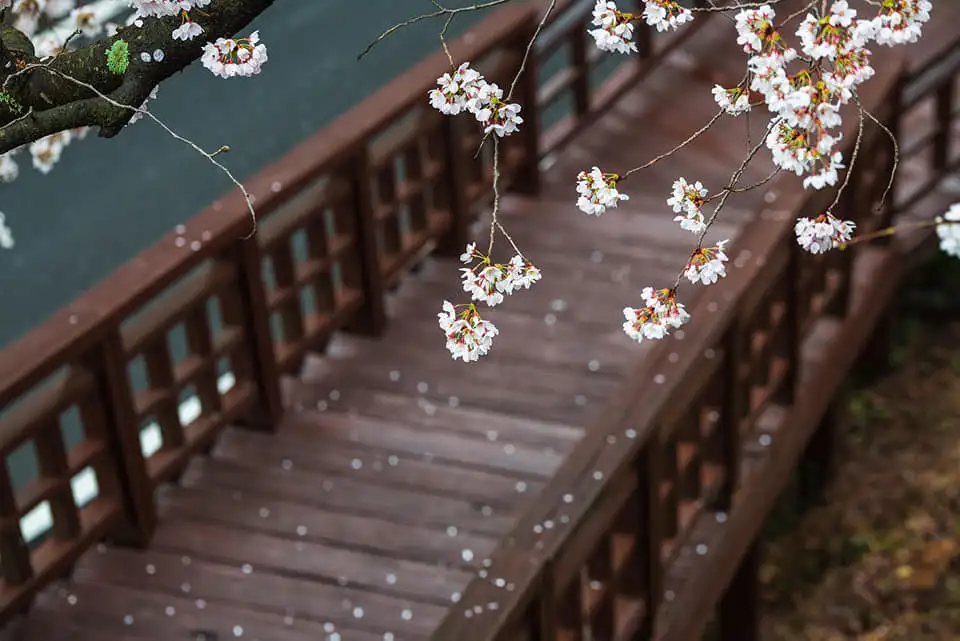 91415437_611778629375288_2450584205952811008_n.jpg?_nc_cat=100&ccb=1-7&_nc_sid=833d8c&_nc_ohc=-g5cP_UiP3sQ7kNvwHXNmdP&_nc_oc=AdlhXySPrBh1eCxhhXyNiifp09AowFHQhXo8VrCgEc7XrVgND0Zl9WjjoqkmWoPN3GY&_nc_zt=23&_nc_ht=scontent-ssn1-1.xx&_nc_gid=bdTIabA3_yvaMwn7KR2C5w&oh=00_AfIsVSVfgbuiKijT6Je89QWtAsn_VAlpHWllr9lkrbvoxA&oe=684DFBDA