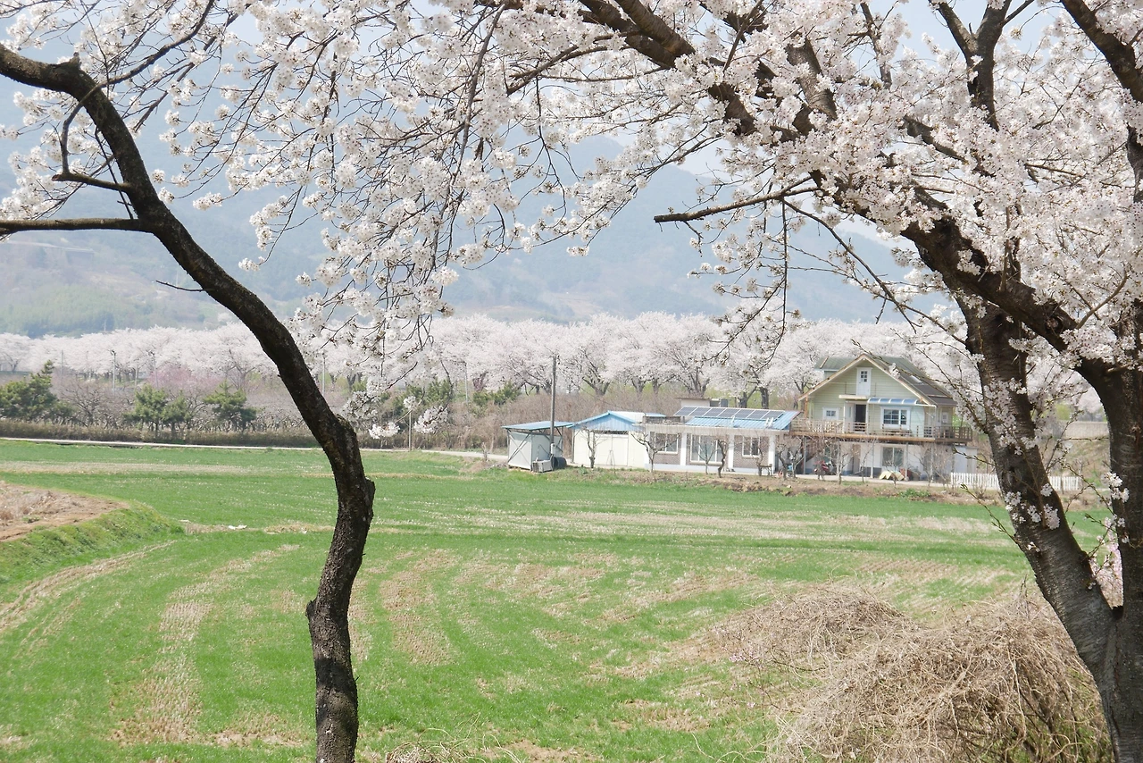 490243236_9628149837231279_5680333859225968604_n.jpg?_nc_cat=110&ccb=1-7&_nc_sid=127cfc&_nc_ohc=BUsUb9GZqlEQ7kNvwFJEYny&_nc_oc=AdnARbNDqTy7715PlKqVUM2qcEUNqW2j8kOUOTz6XtKKRT2dfAjD77XXJ7ilY-a1E6w&_nc_zt=23&_nc_ht=scontent-ssn1-1.xx&_nc_gid=zd6us4MyQzUzx5qvZWsGUA&oh=00_AfJKEIWI6TnGviyAuj2t5y-QpF5dvk3_KiMv4SC5nMNacw&oe=682C71D6