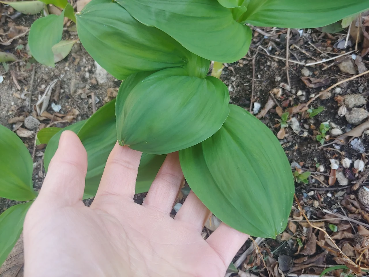 335042951_592594956220330_8380697167967321924_n.jpg?_nc_cat=109&ccb=1-7&_nc_sid=833d8c&_nc_ohc=0INQjSRN9awQ7kNvgGH9F4t&_nc_oc=AdhdttLcy9P2M_3U5XIFm2hZoG390kBKMVHoNbmvuTEwZtvoSTakMN_-TJxwZDR2Hgc&_nc_zt=23&_nc_ht=scontent-ssn1-1.xx&_nc_gid=AjbQ9kpMK0MVcsgGw51jORL&oh=00_AYBbhQEKaIYx_tP39TZ7SZSWPDLOaNRdyTgLOvuv_2d6Qw&oe=67C5843C