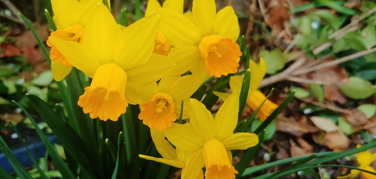 276032803_4992300254149617_2406020552060129918_n.jpg?_nc_cat=104&ccb=1-7&_nc_sid=833d8c&_nc_ohc=HBCsGW3UZhIQ7kNvgG3mtfQ&_nc_oc=AdgUg7Gw4XDn4DhegZQpaDBZLjuBCCa9h3TWjGP4p5TH4r6hyXKSDbwfCZsAM3nJ_RQ&_nc_zt=23&_nc_ht=scontent-ssn1-1.xx&_nc_gid=Azty0vpDwiwSa1iBm7me3Xa&oh=00_AYBjs0Cca2HSJd46q--1sFuh1pv-7mvkLN5JnIZ8q9w_rw&oe=67C57B90