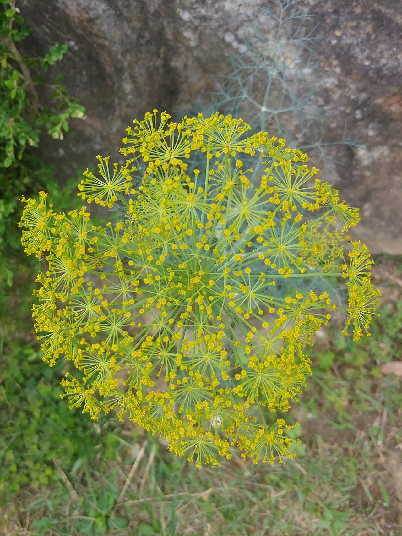 286666715_5235534539826186_2556675952666080072_n.jpg?_nc_cat=105&ccb=1-7&_nc_sid=833d8c&_nc_ohc=c4EzvTotqzsQ7kNvgFa1Ciz&_nc_ht=scontent-ssn1-1.xx&oh=00_AYCWIo-DlkusH22iLLJXIzW4YsoPamRSxlrtowXczmVFYA&oe=668D15D9