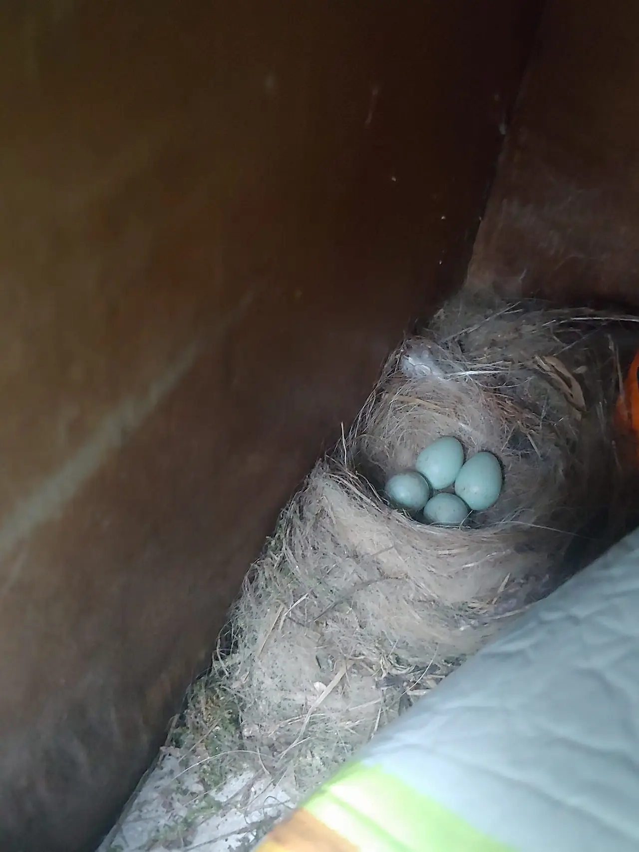 454439424_8089059727806972_1012394993780068267_n.jpg?_nc_cat=110&ccb=1-7&_nc_sid=833d8c&_nc_ohc=c7KII6EkJbQQ7kNvgHAj5zO&_nc_ht=scontent-ssn1-1.xx&oh=00_AYArYMyp30uSX6hOJIxPgXIGb3eUowEEXoAVa8oFzz-GDA&oe=66C0AE41