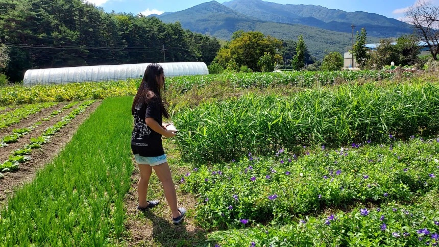 514637560_24027302603556096_6166436357442985888_n.jpg?_nc_cat=102&ccb=1-7&_nc_sid=127cfc&_nc_ohc=Z4BgsW3TtuoQ7kNvwG1N69u&_nc_oc=AdkbwImHyA3vQ7RaLp3at6L0N70uZMi6iiL2y34C7zqdSibS2zMbnAmep49lTN7AMA8&_nc_zt=23&_nc_ht=scontent-ssn1-1.xx&_nc_gid=B0TKR1_60sfT6pls6MR-Zg&oh=00_AfP-zltQ36znhWMlnWSe8N0NYfuEJOr2d8-0ZOOZbwLE5Q&oe=686A8015