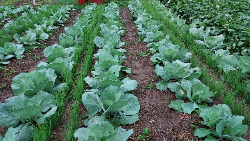 515370947_24027303176889372_6532658165877275856_n.jpg?_nc_cat=106&ccb=1-7&_nc_sid=127cfc&_nc_ohc=x3bU1XsuY_wQ7kNvwFUxMiq&_nc_oc=AdmYQ--JSxkeJFJZYlS9X0HdyQebWg22aq7EasaI3PLLoS5rfsE-n9ebM2d5ltJBVhU&_nc_zt=23&_nc_ht=scontent-ssn1-1.xx&_nc_gid=EDF7mOAaGKB4SRHeMq8lIQ&oh=00_AfNPZKNfW6xSQ7GrIbazKEh5u-LK_7KBq6ue6kPHy0PtfA&oe=686AA094