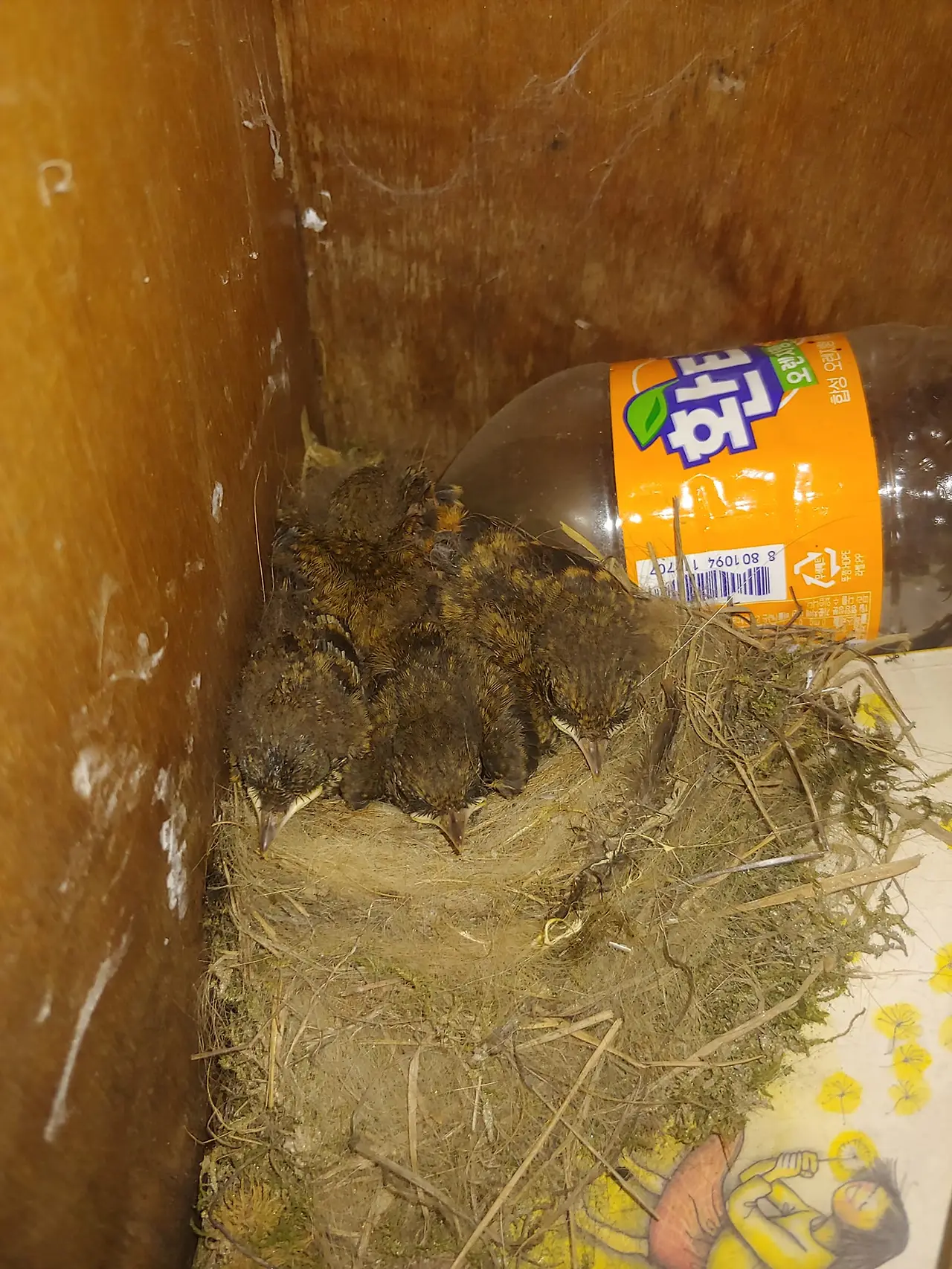 454400919_8089060724473539_2785050861772778035_n.jpg?_nc_cat=103&ccb=1-7&_nc_sid=833d8c&_nc_ohc=0sjyCWhCdJYQ7kNvgE0VaBM&_nc_ht=scontent-ssn1-1.xx&oh=00_AYA77TAvgtvqxSJvYxLBdDK8TFjvVce_NZAg1GGL4eBlsA&oe=66C0B073