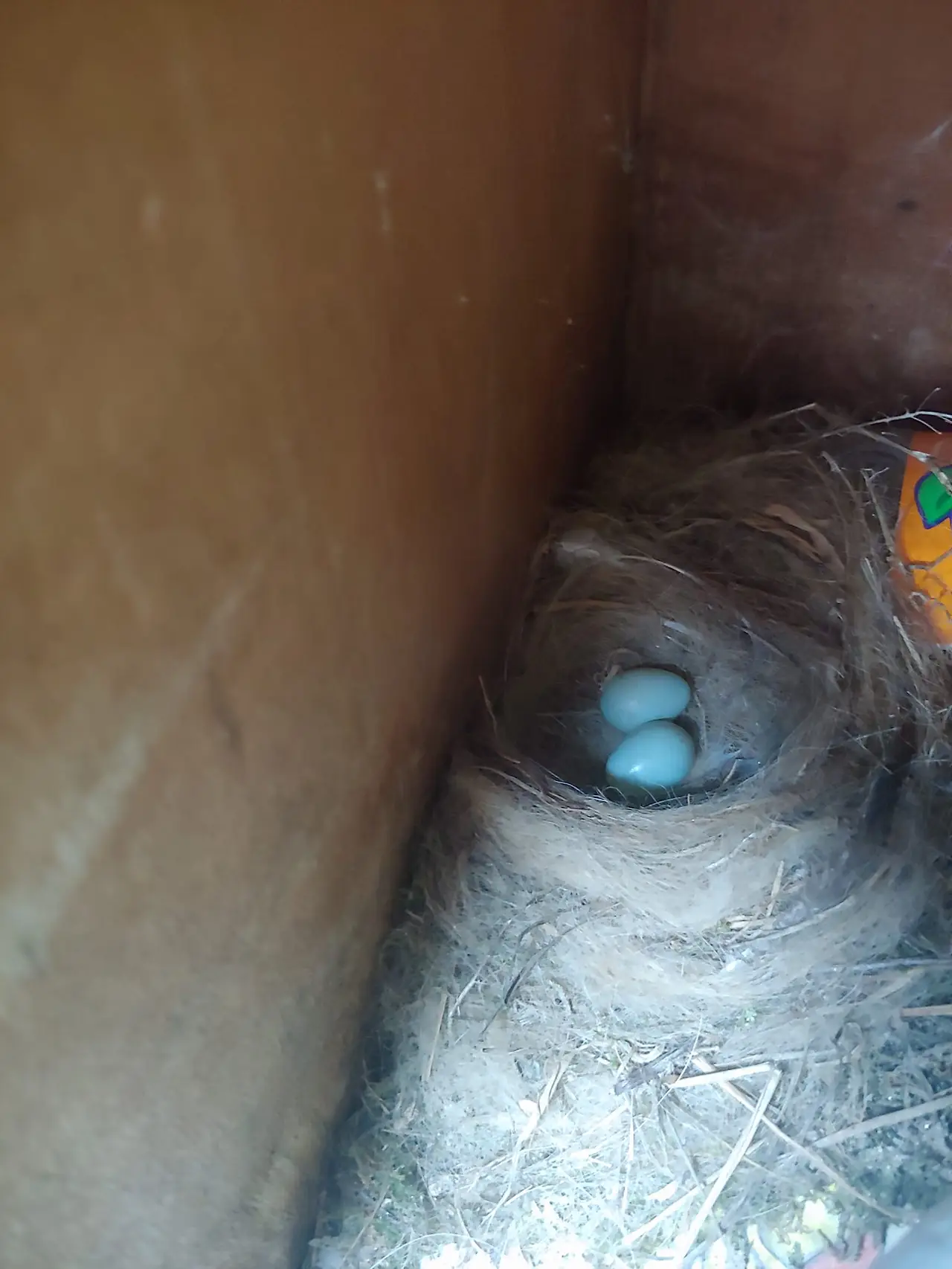 454476245_8089059461140332_9198291677145233529_n.jpg?_nc_cat=110&ccb=1-7&_nc_sid=833d8c&_nc_ohc=efTRp17F-9kQ7kNvgELhWH9&_nc_ht=scontent-ssn1-1.xx&oh=00_AYCkubbELcrI6Iwxhe7tRi6yfCdTQytBhZau8Slr4p4CTA&oe=66C0A220