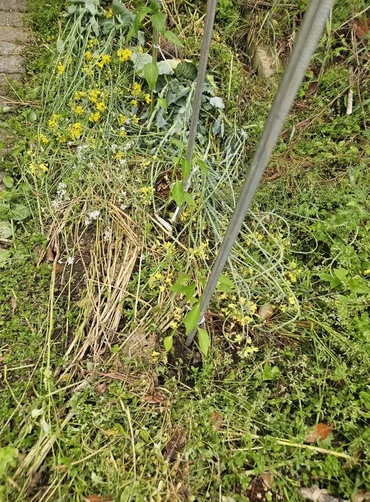 494635821_9830686323644295_572231482318493623_n.jpg?stp=cp6_dst-jpg_tt6&_nc_cat=102&ccb=1-7&_nc_sid=833d8c&_nc_ohc=pFovF0KS_y8Q7kNvwECHb74&_nc_oc=AdkGSesl65m50IiJ23_hVrzAKaeSnjmfdsQn7gybd4Ok8NASQHrV_IiSvcuLwRx-RSw&_nc_zt=23&_nc_ht=scontent-ssn1-1.xx&_nc_gid=KZ1nFMaT3RT84WJN9_QMaA&oh=00_AfLTgZvNli7TbvBX0v6u-S5dyeqgsnRSGmY-0Jlel4Cx5A&oe=6821B10F