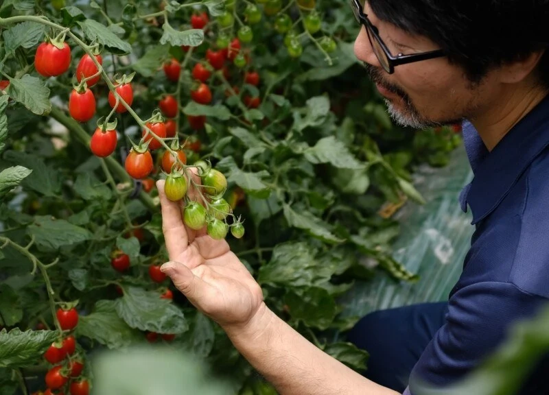 494685159_9823290404383887_3068028589649788122_n.jpg?_nc_cat=110&ccb=1-7&_nc_sid=127cfc&_nc_ohc=nwORSs2UlaAQ7kNvwGeyMdu&_nc_oc=Adlf-gfK1a4Glr1kqvtUtn5vyF-lsUCnf68s_eEAme1DxUV-E3RhNbTkLGaV0nxP8b4&_nc_zt=23&_nc_ht=scontent-ssn1-1.xx&_nc_gid=E-22UiNP7p3qojS5cOTlzA&oh=00_AfJN7Ywx8jDmAYuyB-fk8vDyjXXqUA_bouJdcn2jeQwnUg&oe=68208760