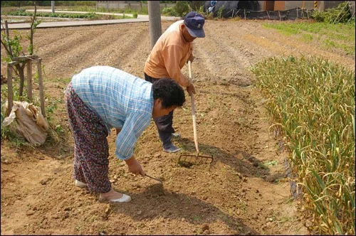 492538411_9715130038533258_864441113605718046_n.jpg?_nc_cat=102&ccb=1-7&_nc_sid=127cfc&_nc_ohc=eDdsbbBUVzQQ7kNvwHUPjfw&_nc_oc=AdmwFxgoaW61TmS8KzOAtpUjuCBZPlYiCyd0E77fcqzfqkz_Jn_cz4AjAp4bE_LZYmI&_nc_zt=23&_nc_ht=scontent-ssn1-1.xx&_nc_gid=iYTFjob3cdiyNtkT85ffQA&oh=00_AfKhSPXFb8y4J4onofkJMtDqXE8Hg8r9MoeNTEBJyJNRnA&oe=6829C7D3