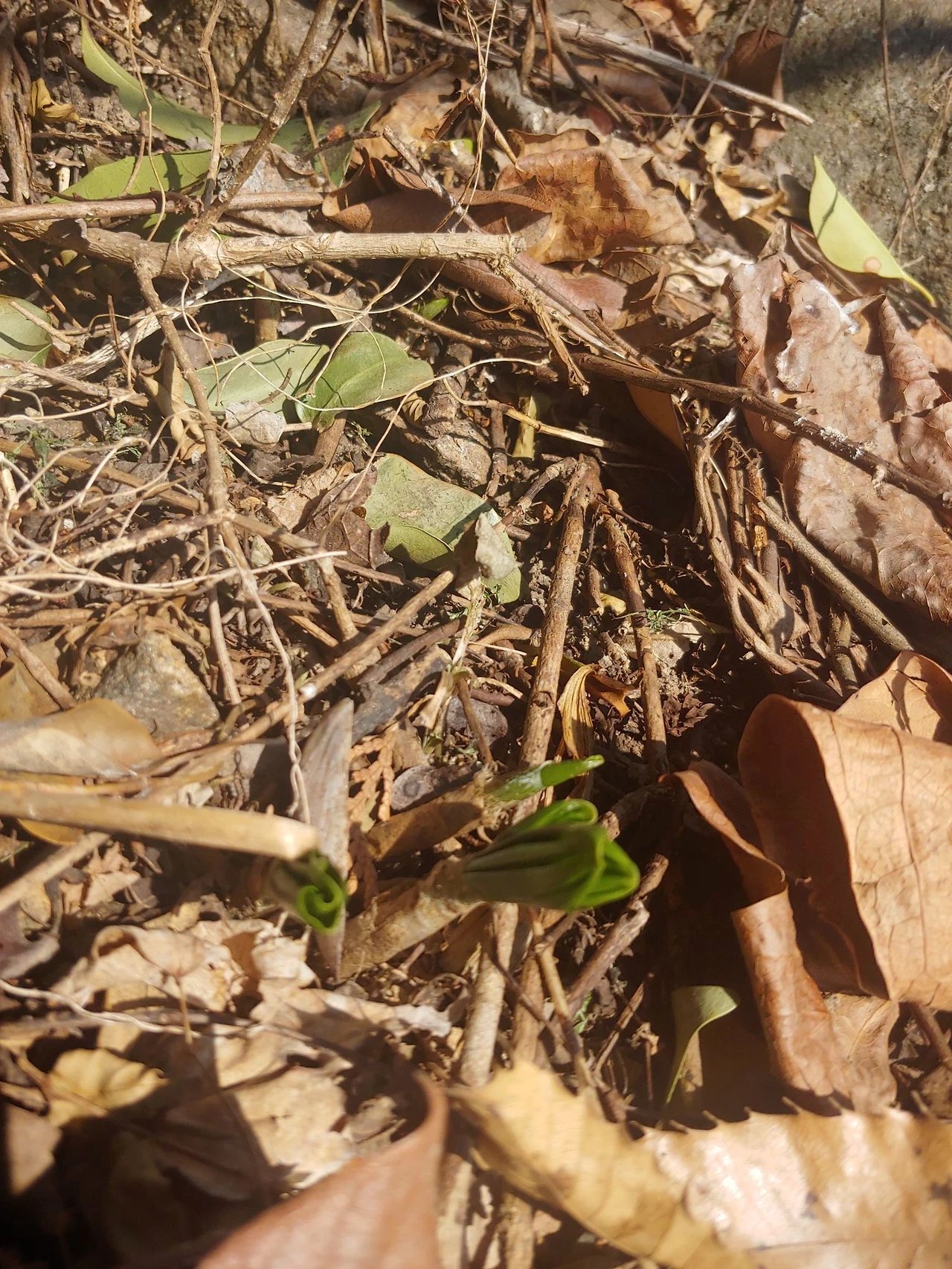 481233380_9366482943397971_2635016568457196608_n.jpg?_nc_cat=111&ccb=1-7&_nc_sid=833d8c&_nc_ohc=DOGLd4JoZiUQ7kNvgF9c6ET&_nc_oc=AdiyFKlX4Q-YCP4PnqF5iUdyFOVz3lzjVxlT-PLz6DvEq9ePWPxrfYy4VC1cH1PKVNQ&_nc_zt=23&_nc_ht=scontent-ssn1-1.xx&_nc_gid=AiBCpX9Met2WPgpPTxE2lP1&oh=00_AYDTSTd_JiGcplgu74gyS3U6JKqzrIe6sWtVeVhkuflBKw&oe=67C5A2DF