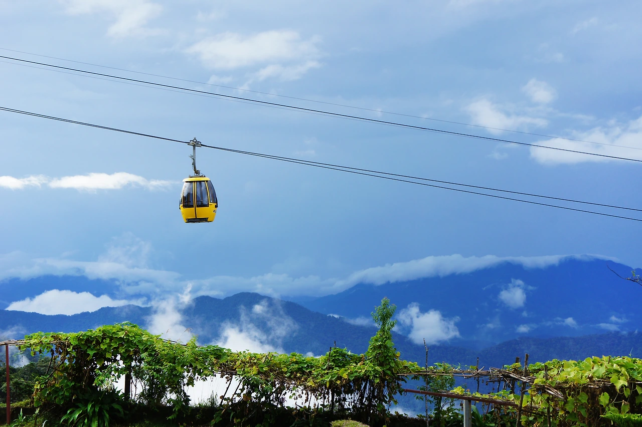 잭프루트 하늘.jpg