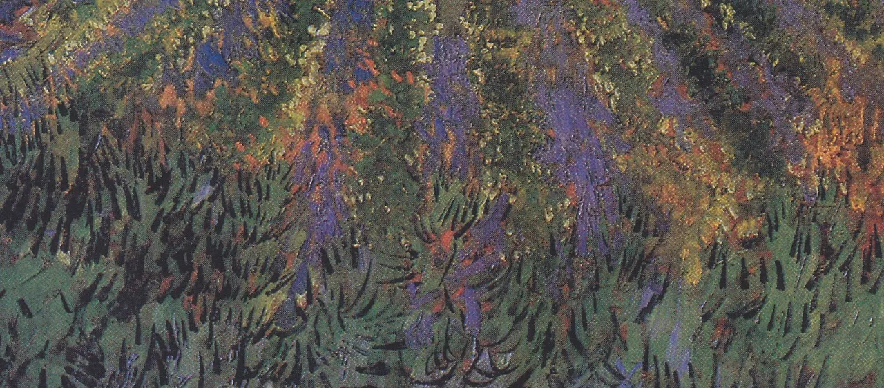 View of Saintes Maries de la Mer 1888 - Zoom in Front.JPG