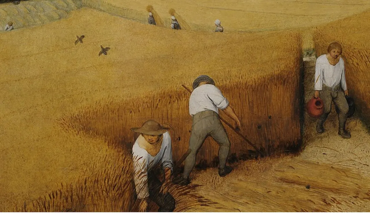 좌측 중앙으로 내려오면 사람 키 높이의 밀과 수확하여 볏단을 들고가는 여인들, 항아리를 들고오는 남자 , 긴 낫을 들고 작업하는 남자둘이 보입니다.JPG