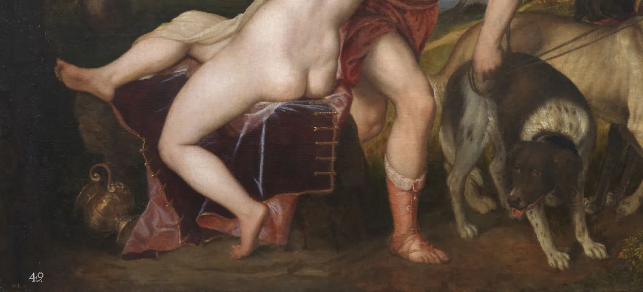 그림을 하단만 보면 비너스의 체형이 상체 보다는 길지 않습니다. 르네상스 시대 여인의 몸은 매너리즘이 도입되기 전이라 길이 비율에서 정직하게만 그려 놓은 듯합니다. 아도니스의 다리, 두 마리의 개들 모습도 멋지게 그려져 있습니다..JPG