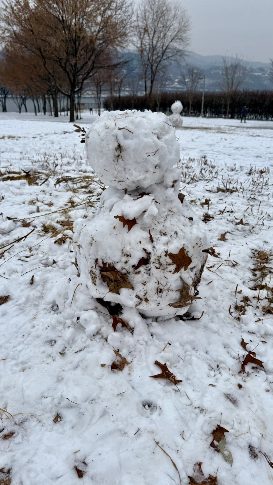 IMG_4216.jpg?type=w1