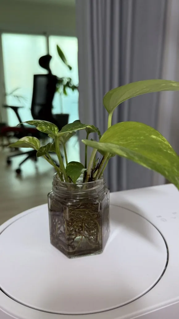 IMG%EF%BC%BF5376.jpg?type=w580