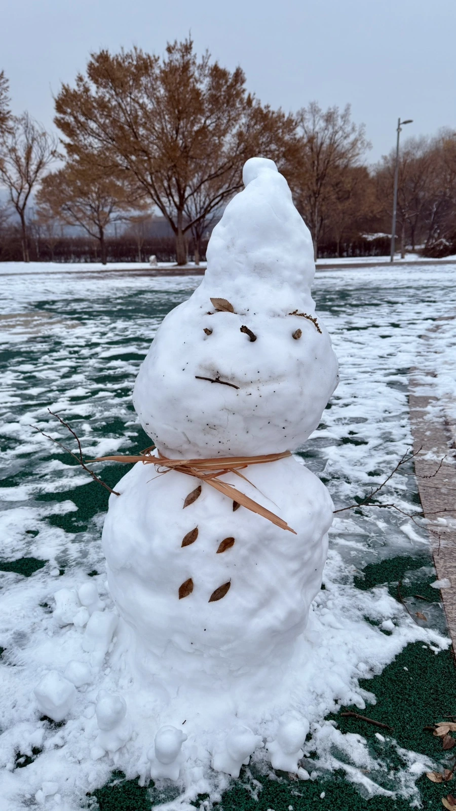 IMG_4230.jpg?type=w1