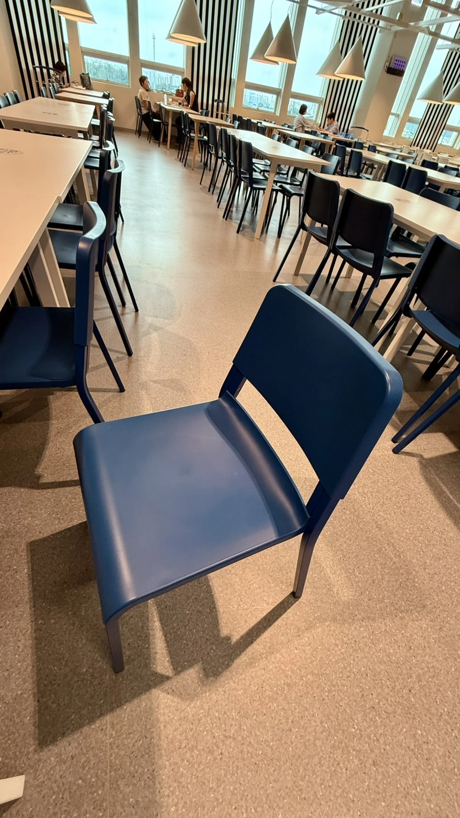 IMG%EF%BC%BF5109.jpg?type=w1