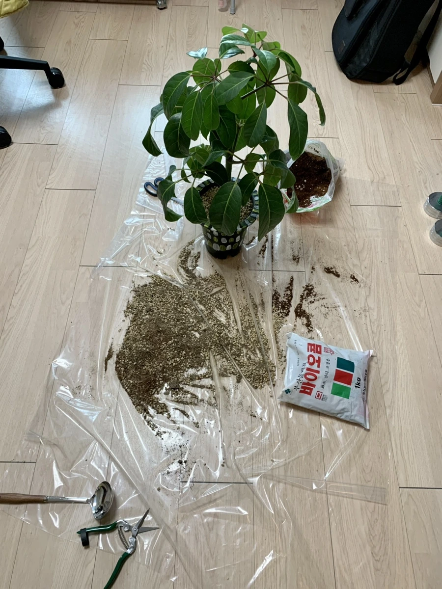 IMG_1870.jpg?type=w1