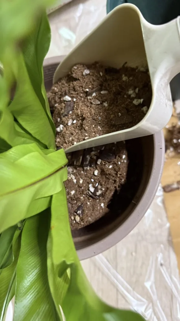 IMG%EF%BC%BF5371.jpg?type=w580