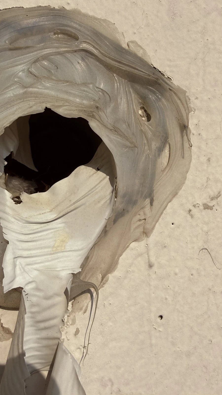 IMG%EF%BC%BF5223.jpg?type=w1