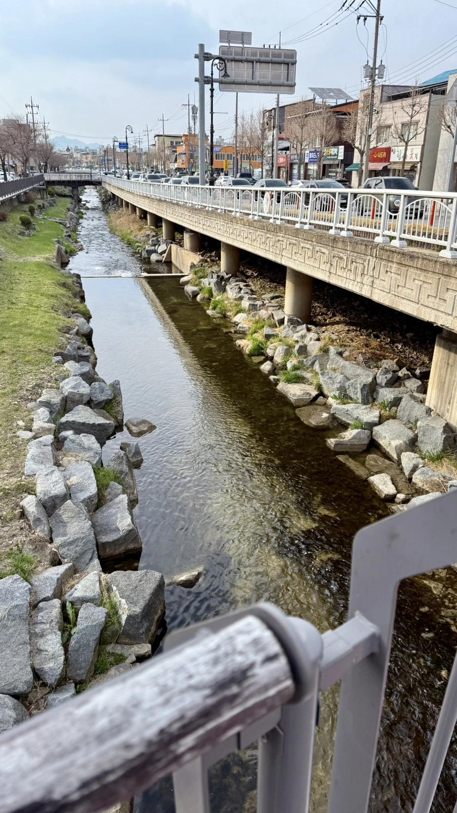 IMG_4597.jpg?type=w1