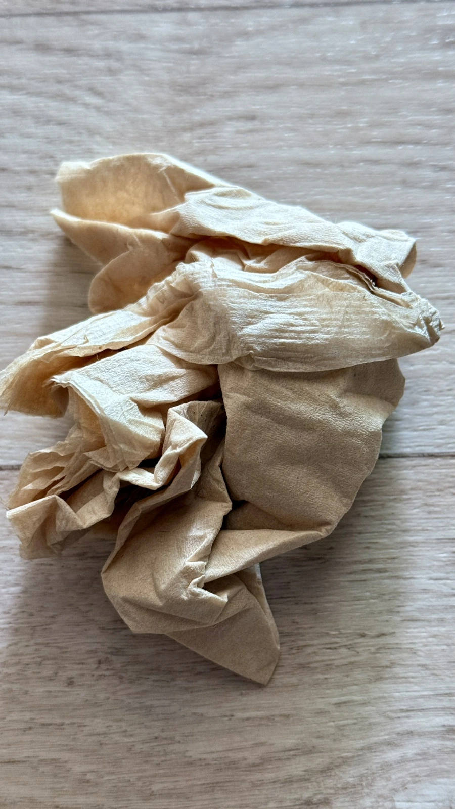 IMG%EF%BC%BF5227.jpg?type=w1