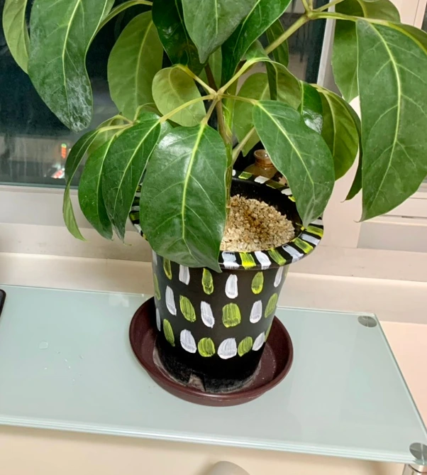 SE-B6EB4382-30F7-4DA0-8500-811B8B768527.jpg?type=w1