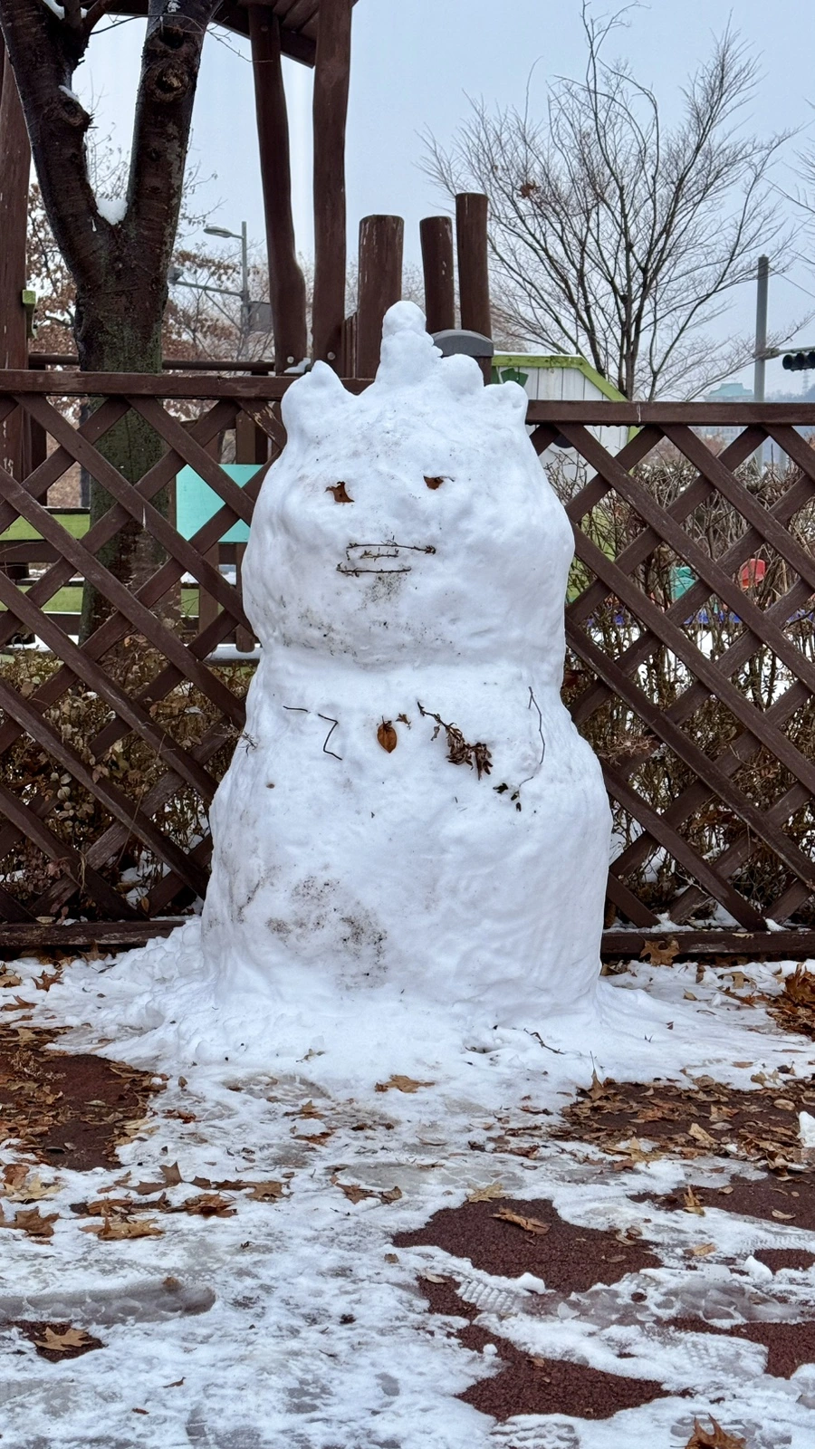 IMG_4228.jpg?type=w1