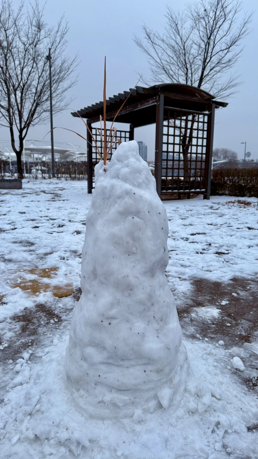 IMG_4237.jpg?type=w1